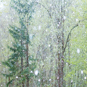 激情做爱真人版
