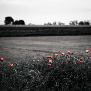 激情做爱真人版
