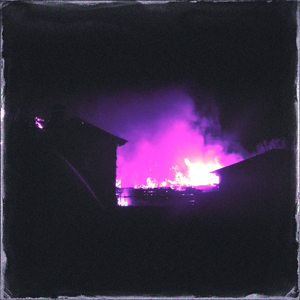 激情做爱真人版
