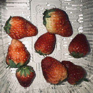 激情做爱真人版
