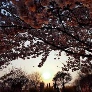 激情做爱真人版
